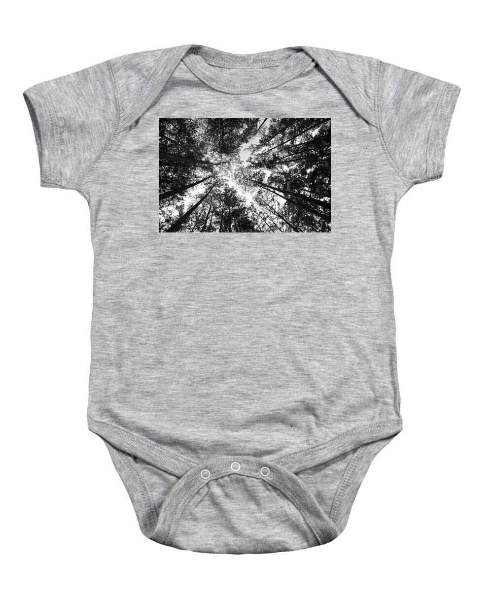 Illinois Baby Onesie featuring the photograph Cypress Trees at Heron's Pond by James C Richardson
