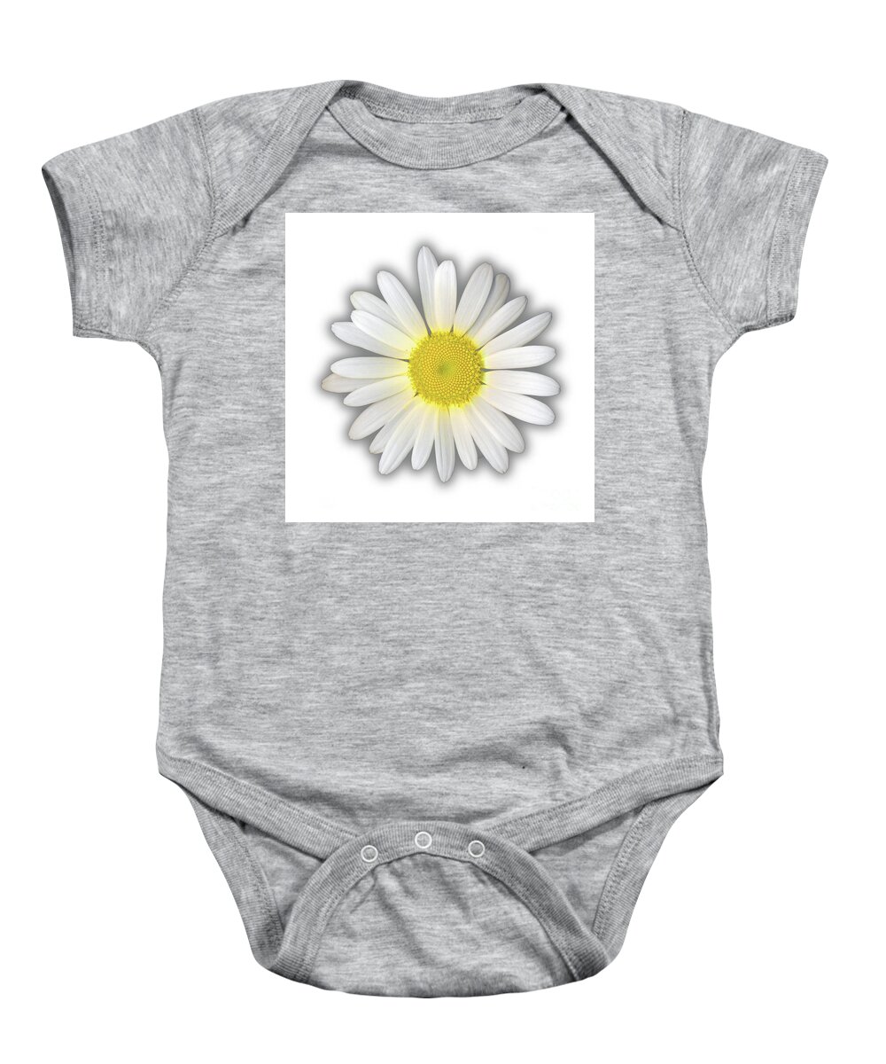 Daisy Baby Onesie featuring the photograph Daisy by Robert Douglas