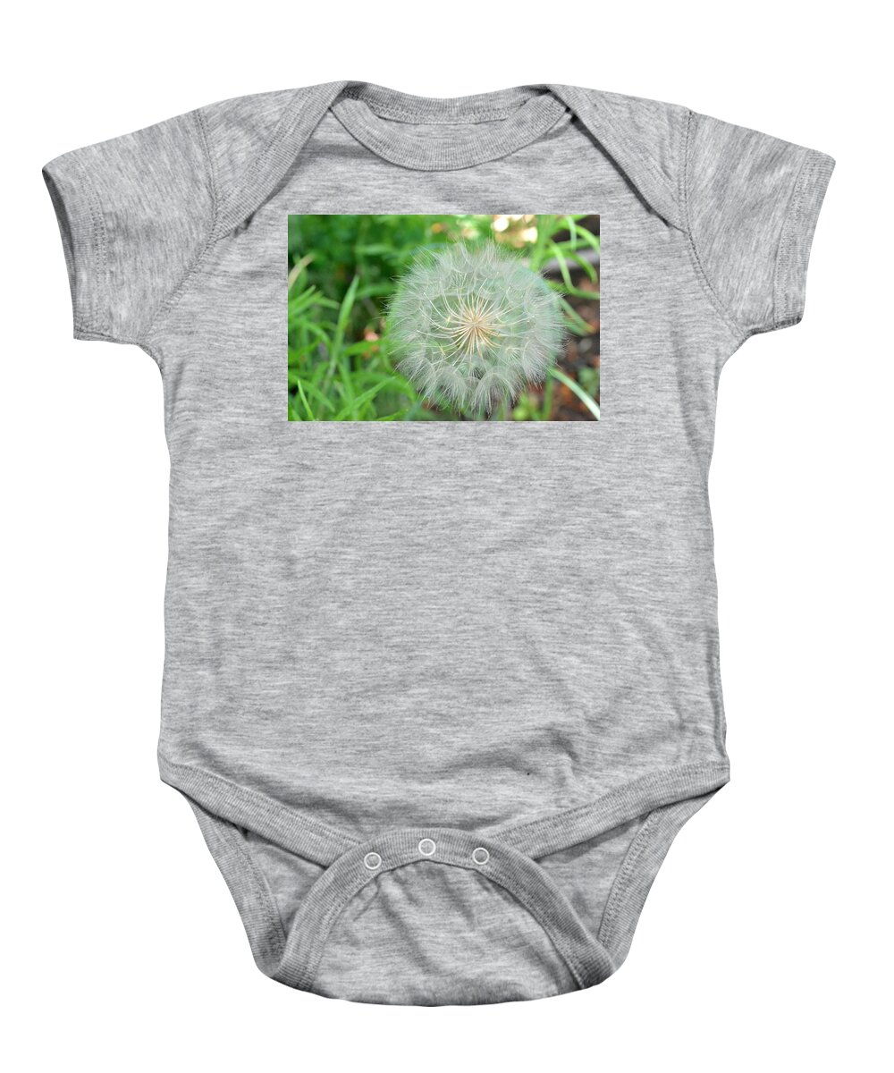 Nature Baby Onesie featuring the photograph Dandelion 4 by Amy Fose