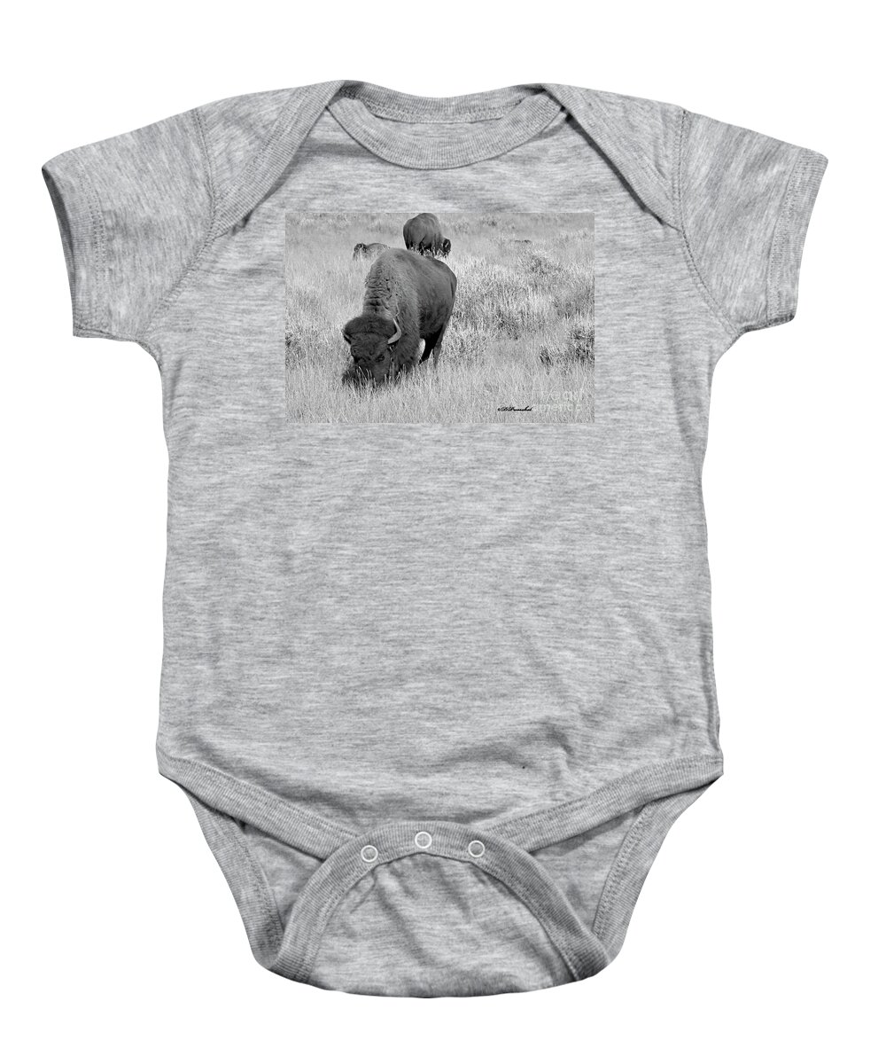 Buffalo Baby Onesie featuring the photograph Dinner TIme by Debby Pueschel