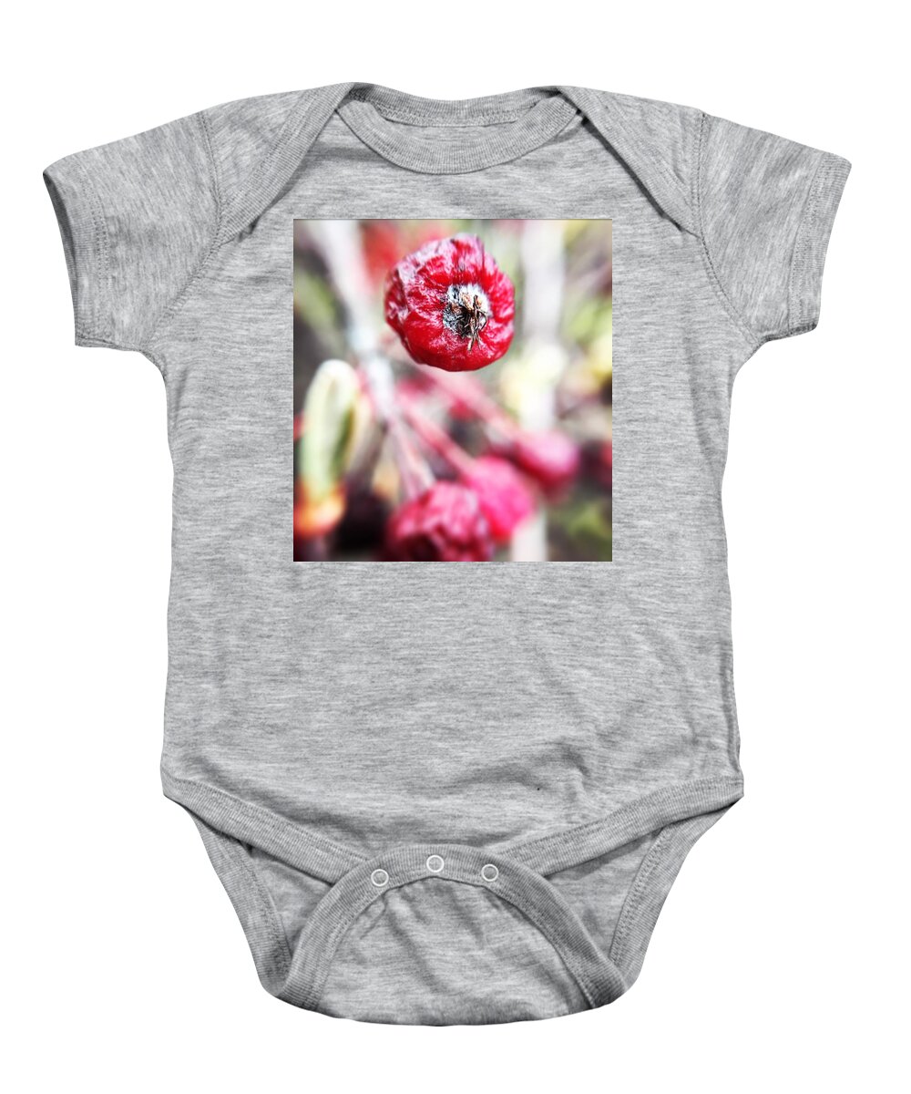  Baby Onesie featuring the photograph Dominant by Olivier Calas