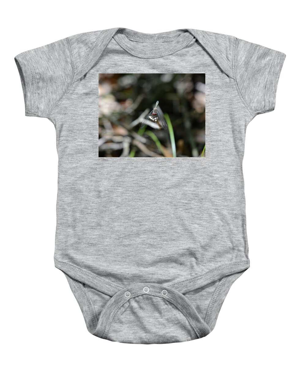  Baby Onesie featuring the photograph Dragon 1 by David Armstrong