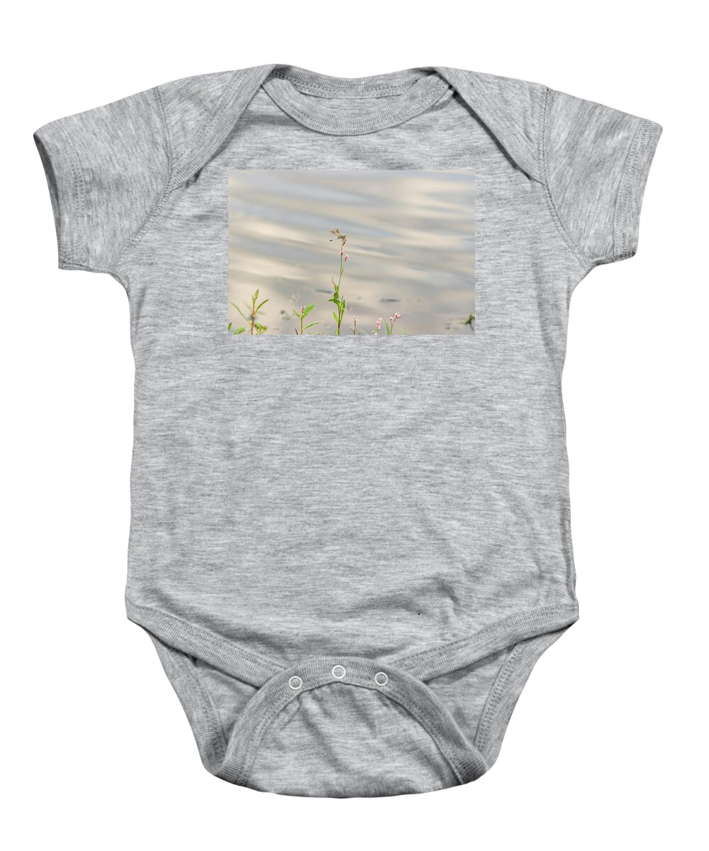 Flower Baby Onesie featuring the photograph Dragonfly at the Lake by Amelia Pearn