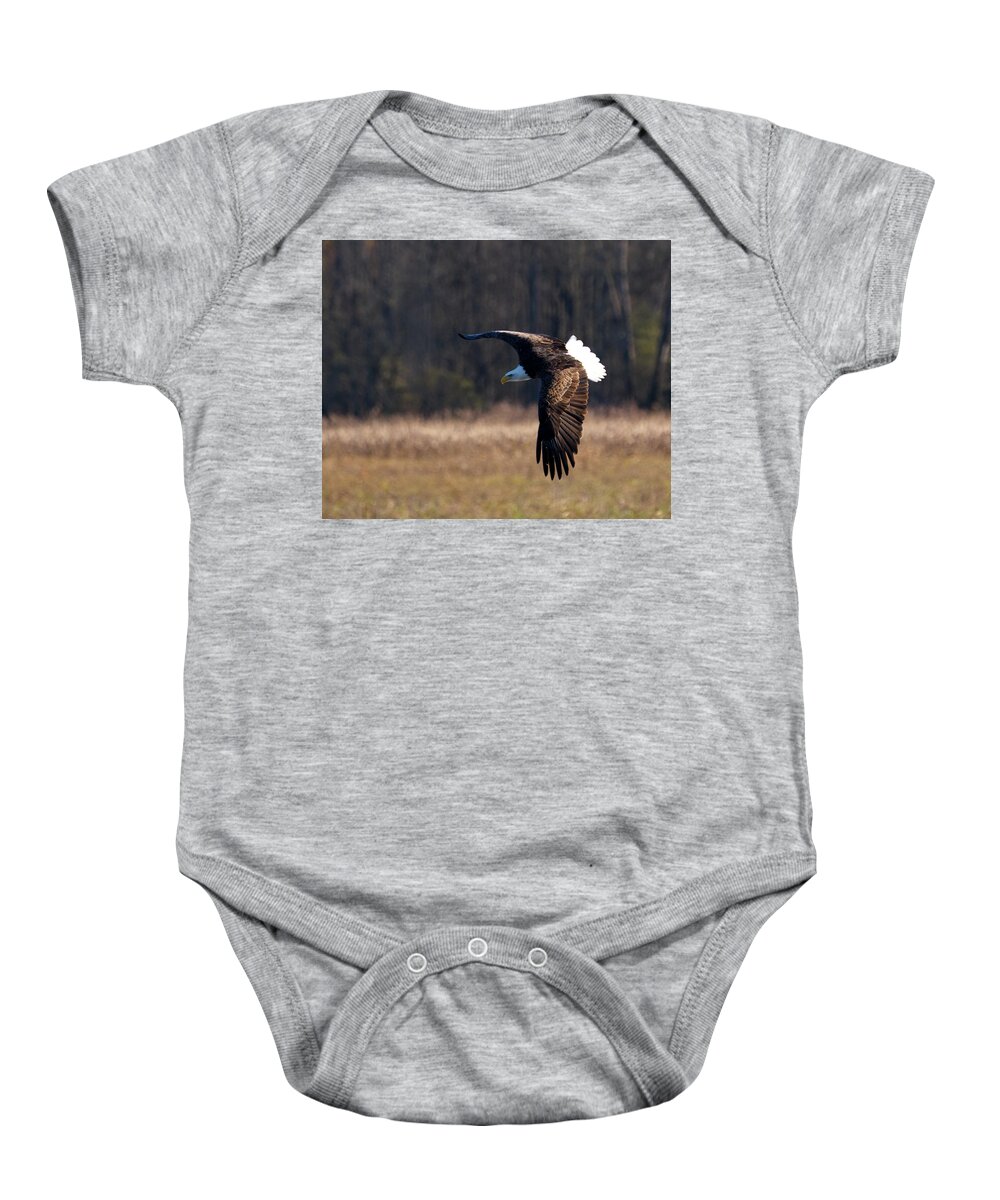 Eagle Baby Onesie featuring the photograph Eagle Flys Over Field by Flinn Hackett