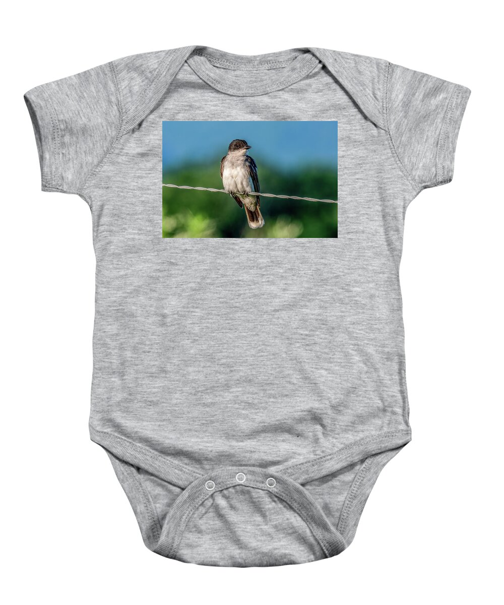 Baby Onesie featuring the photograph Eastern Kingbird Sitting Pretty by Marcy Wielfaert