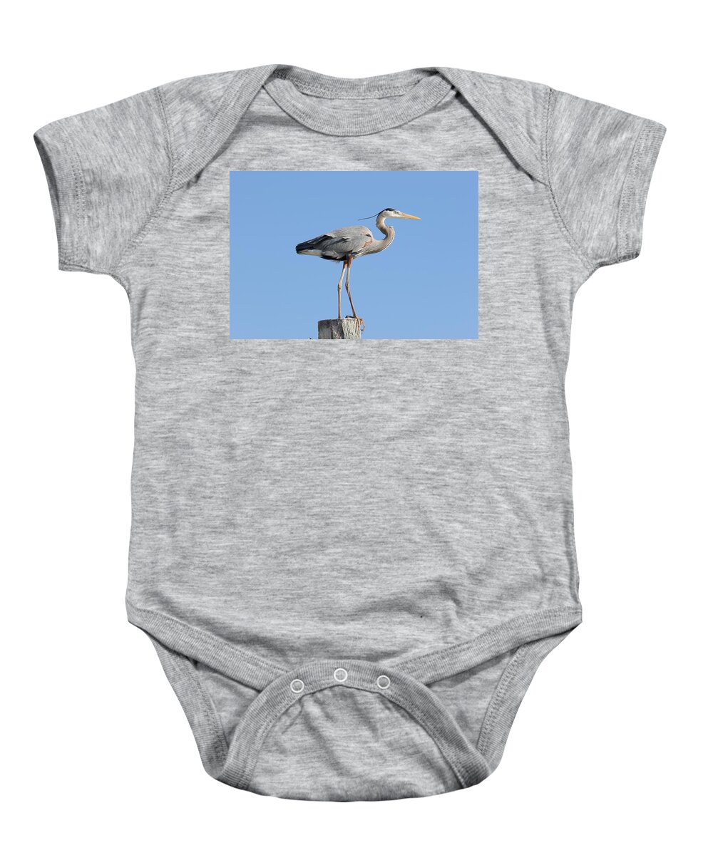 Great Blue Heron Baby Onesie featuring the photograph Elegant Great Blue Heron by Mingming Jiang