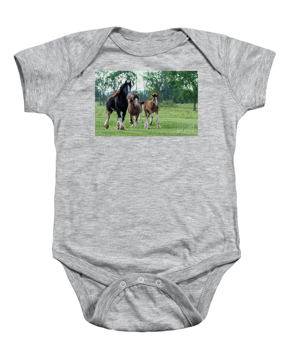 Equine Baby Onesie featuring the photograph Equine Pastures by Nina Stavlund
