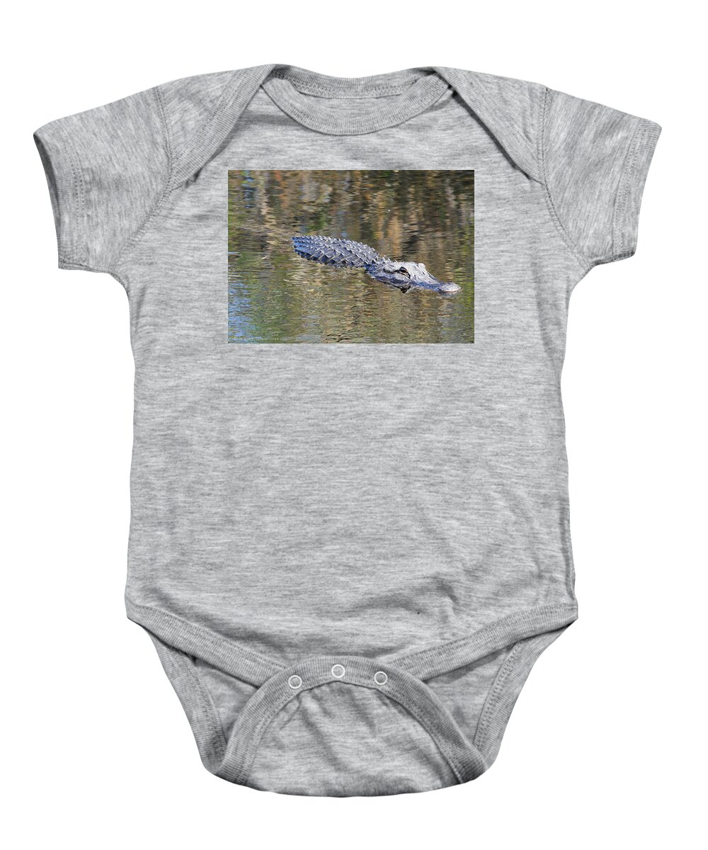Alligator Baby Onesie featuring the photograph Everglades Alligator Free by Custom Aviation Art