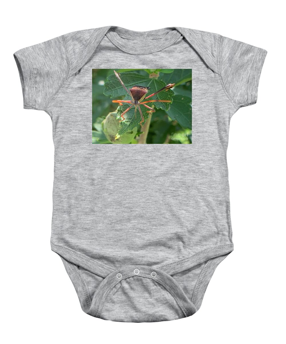 Leaf Footed Bug Baby Onesie featuring the photograph Face me by Catherine Wilson