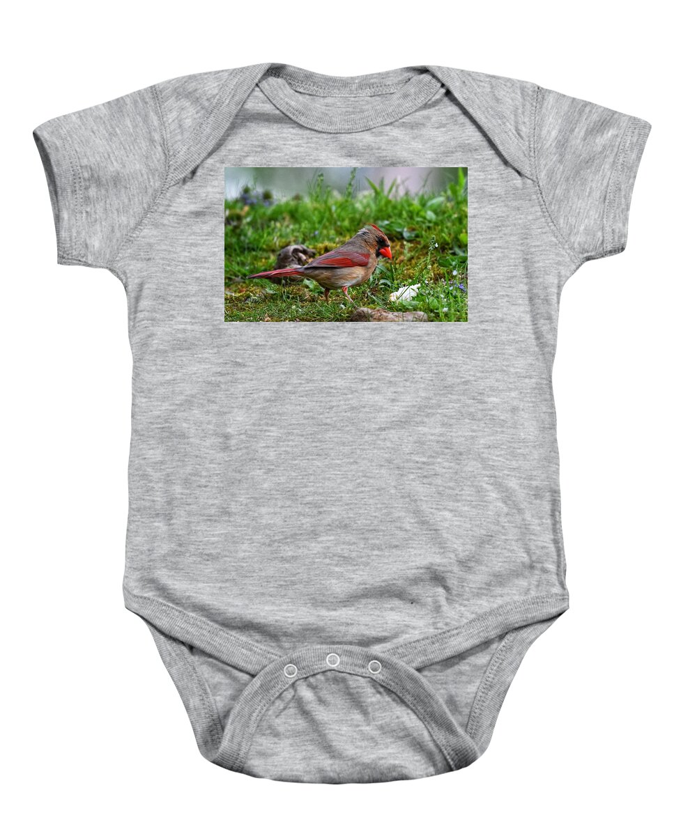 Photo Baby Onesie featuring the photograph Female Cardinal in Grass by Evan Foster