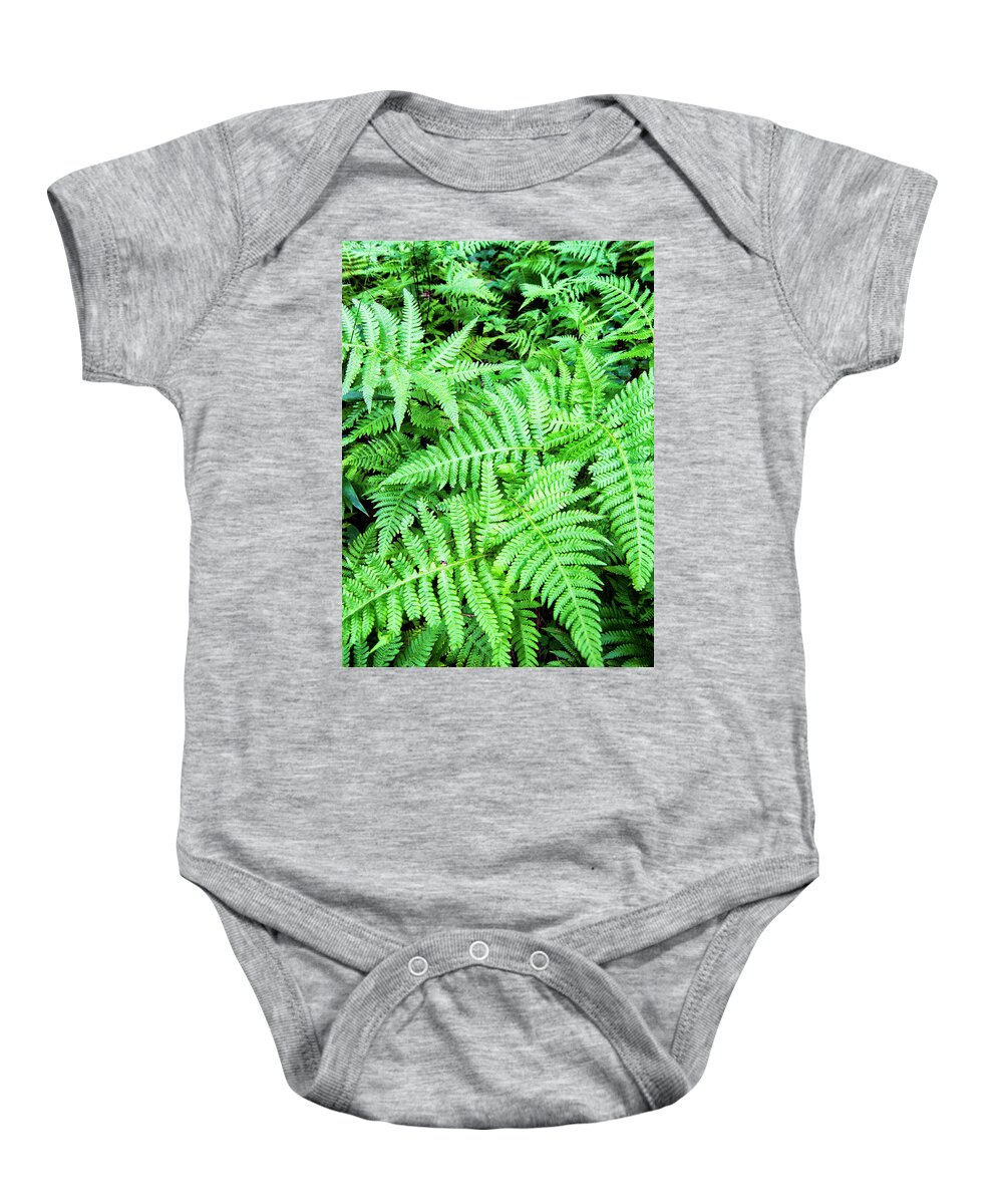 Ferns Baby Onesie featuring the photograph Ferns in the Forest by Bob Decker