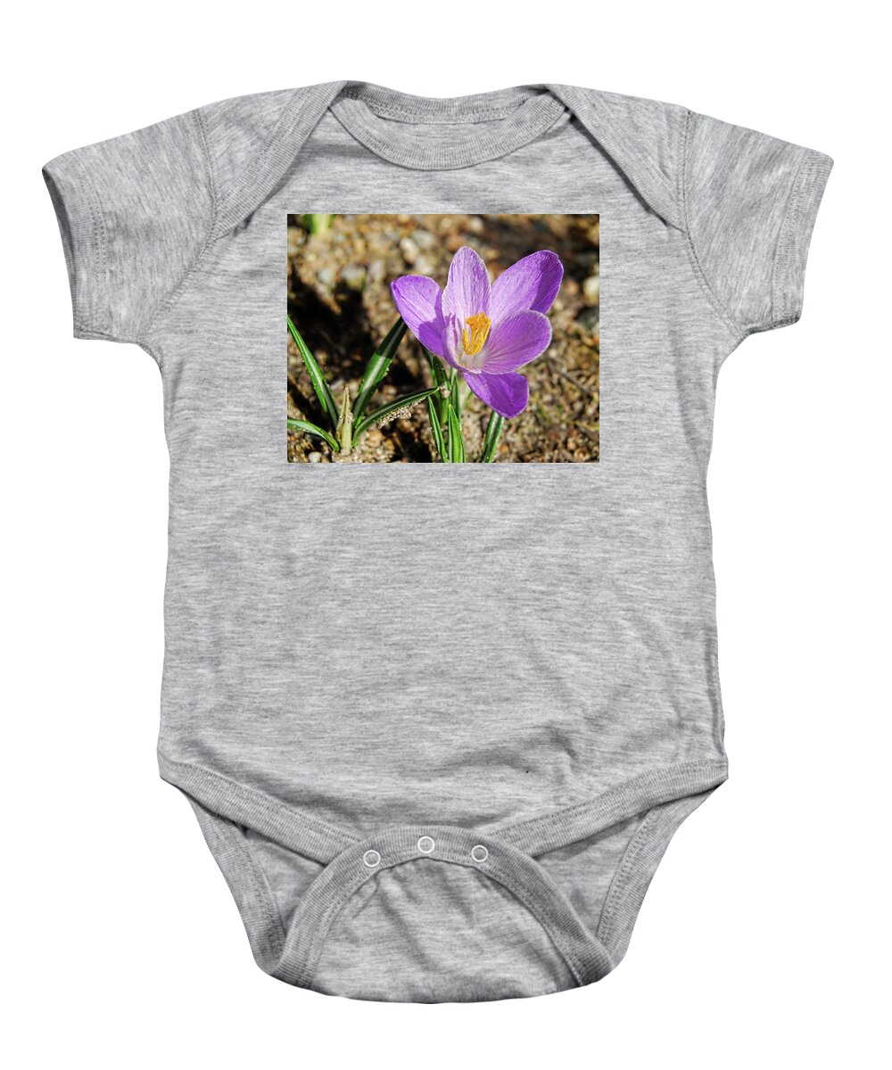 Crocus Baby Onesie featuring the photograph First Spring Flowers by Alexandra's Photography