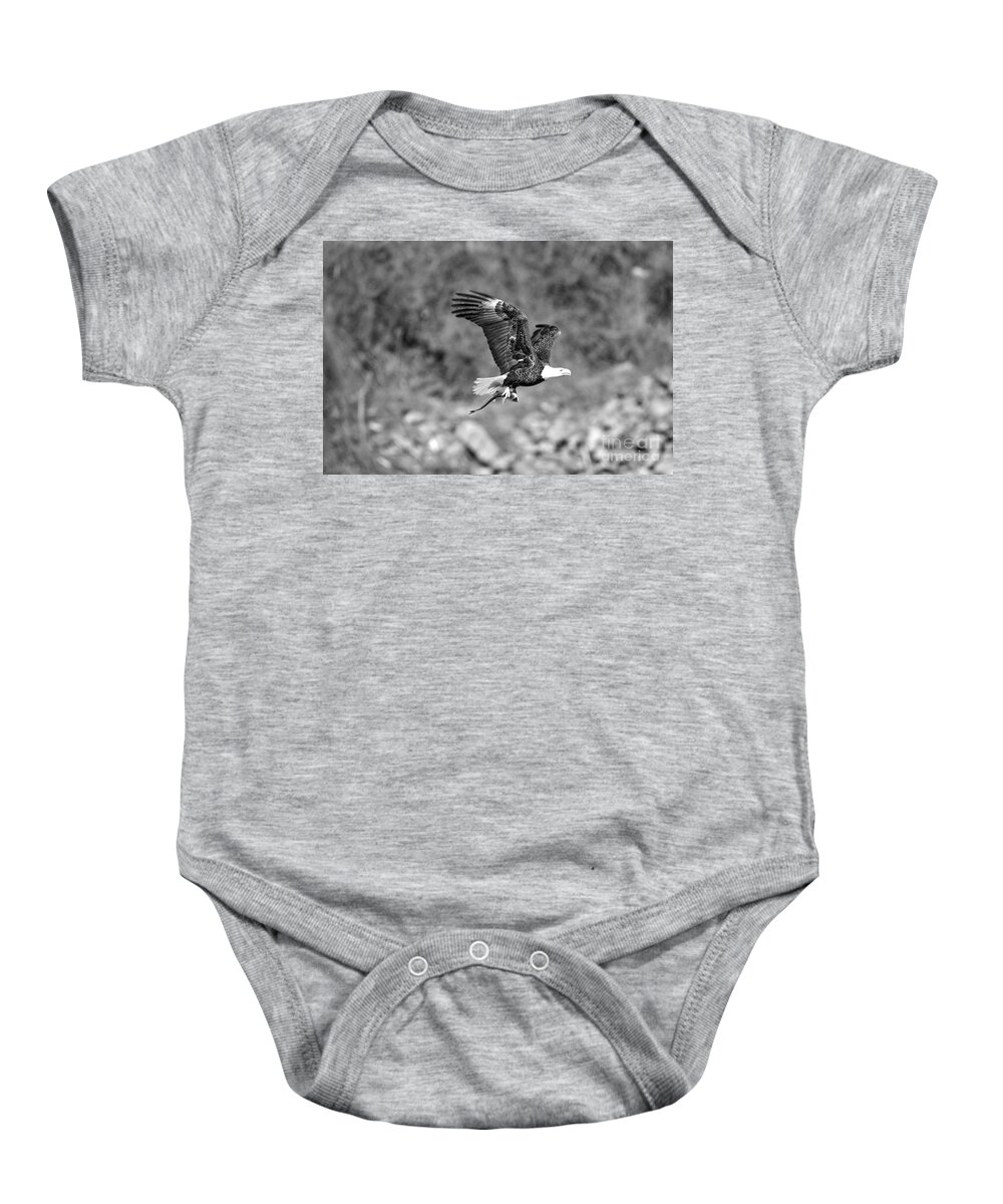 Fishing Bald Eagle Flying Over The Rocks Black And White Onesie by Adam  Jewell - Adam Jewell - Artist Website