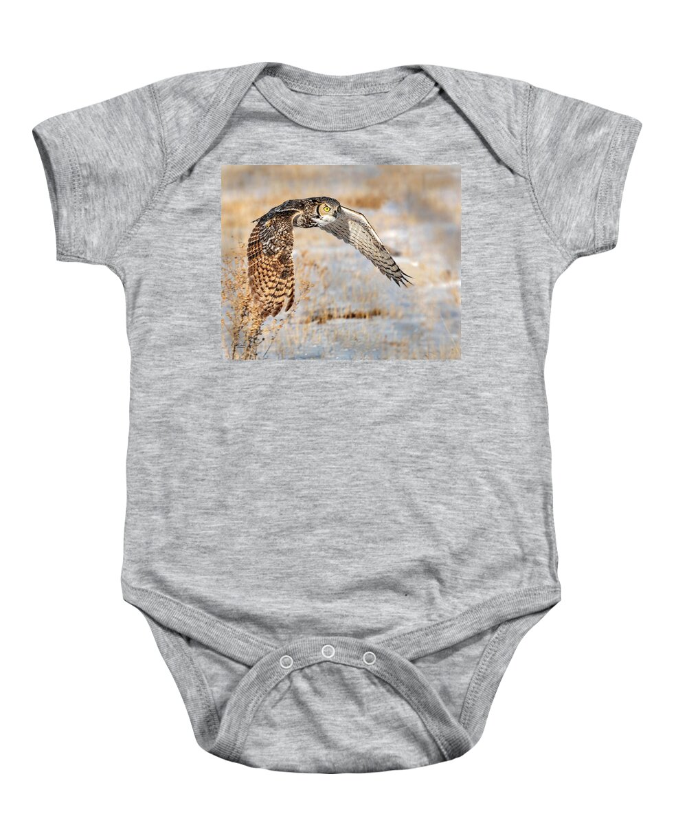 Great Horned Owl Baby Onesie featuring the photograph Flying Great Horned Owl by Judi Dressler