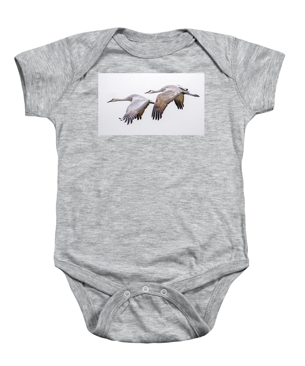 Birds Baby Onesie featuring the photograph Flying Sandhill Cranes #3 by Carla Brennan