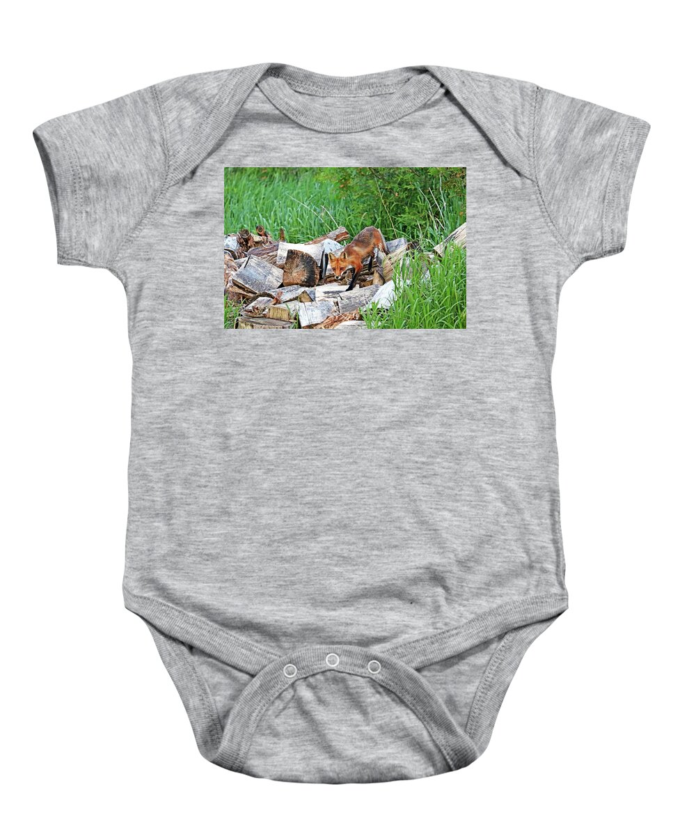 Fox Baby Onesie featuring the photograph Fox In The Woodpile by Debbie Oppermann