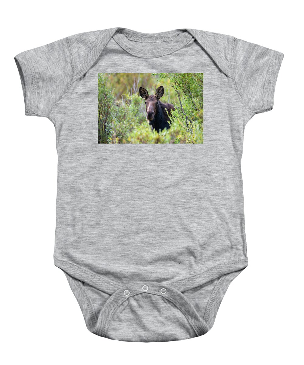 Moose Baby Onesie featuring the photograph Framed by Willows by Darlene Bushue