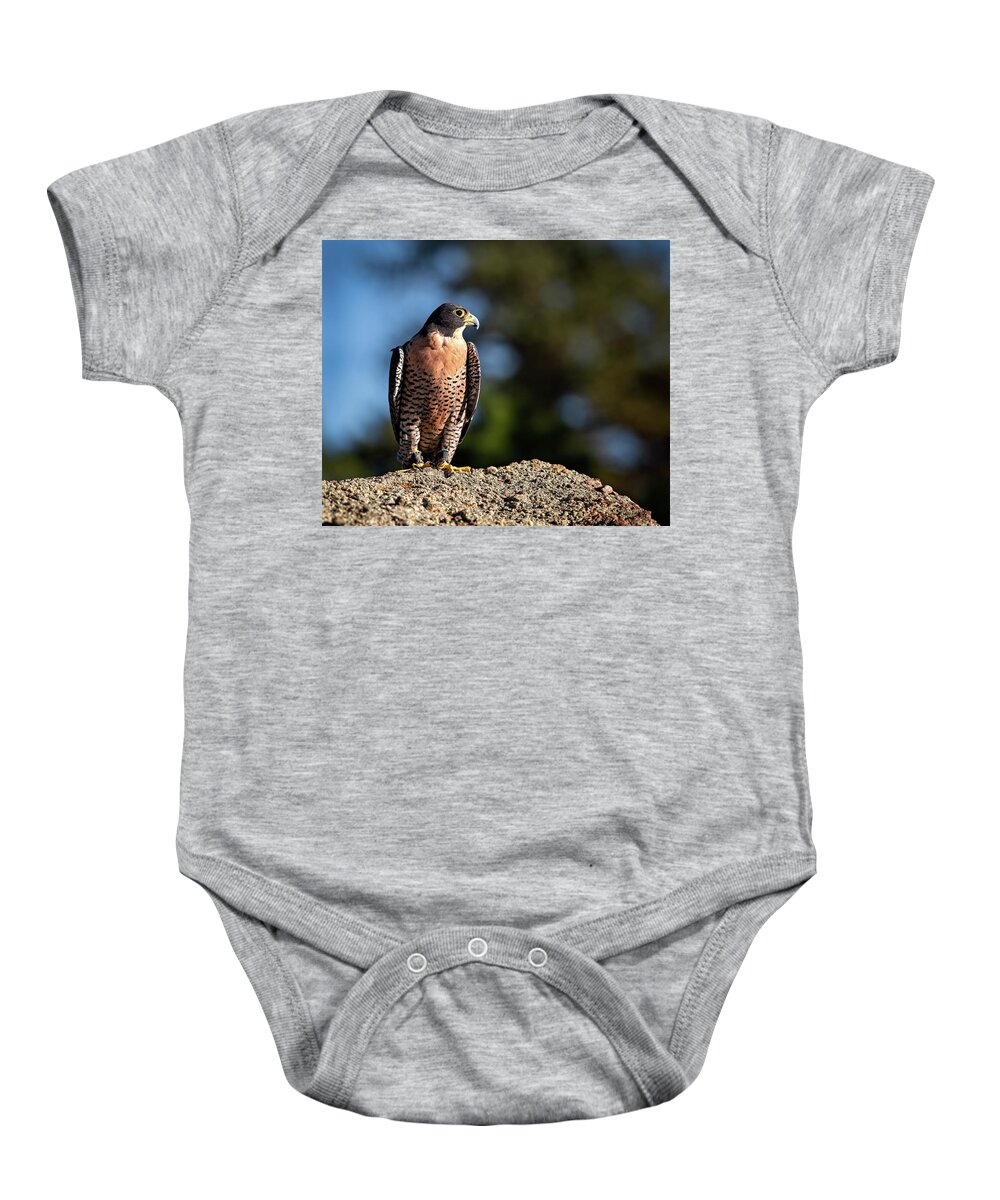 Falcon Baby Onesie featuring the photograph Fred the Falcon by Elin Skov Vaeth