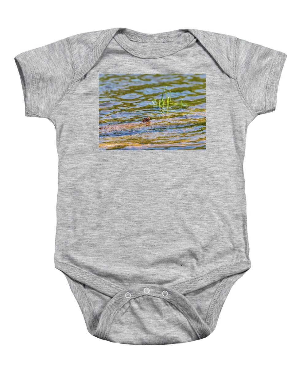 Catskills Baby Onesie featuring the photograph Frog in the Pond by Amelia Pearn