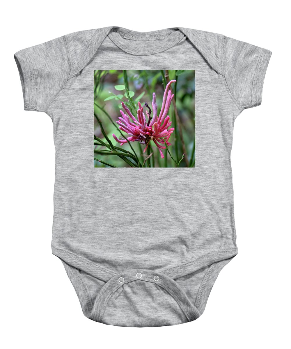 Betty Depee Baby Onesie featuring the photograph Fungus Among Us by Betty Depee