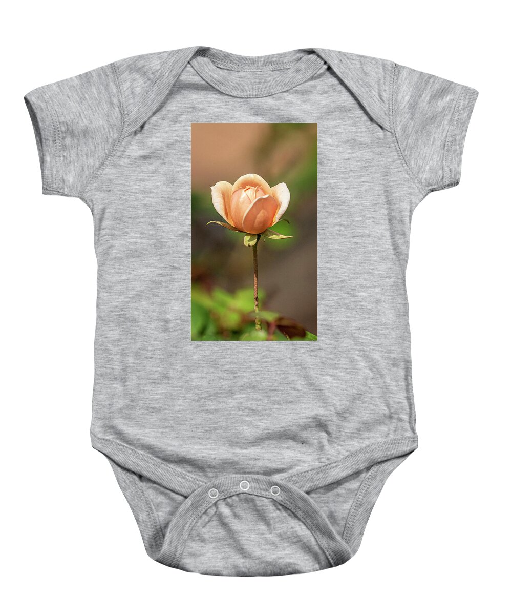 Rose Baby Onesie featuring the photograph Garden Rose by Jerry Connally