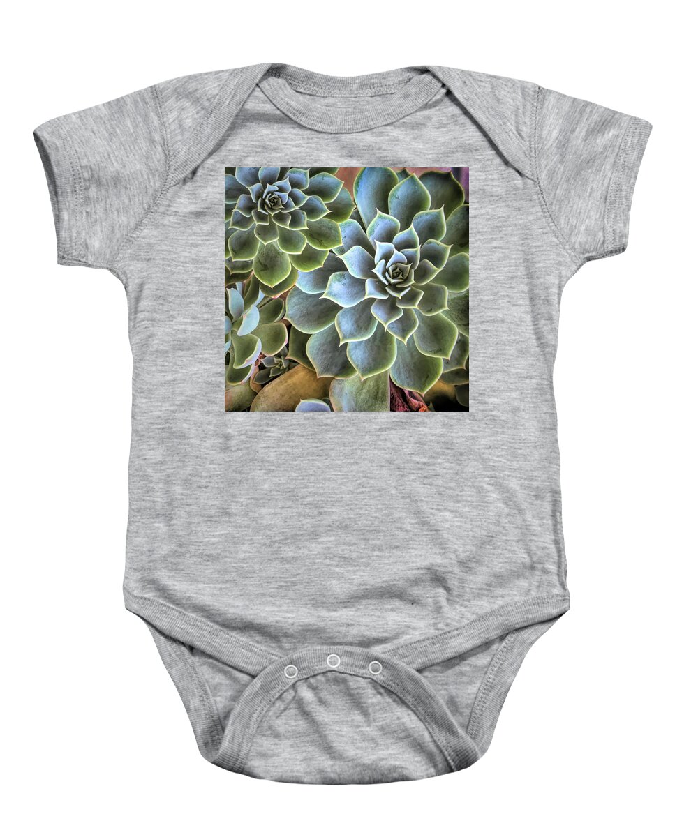 Botanical Baby Onesie featuring the photograph Garden Succulent Botanicals II by Debra and Dave Vanderlaan