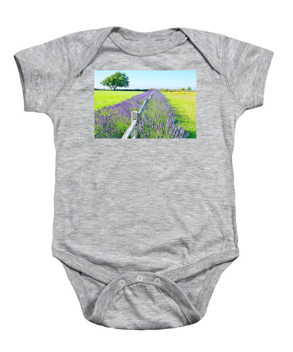 Landscape Baby Onesie featuring the photograph George Washington Lavender Gardens by Bill TALICH