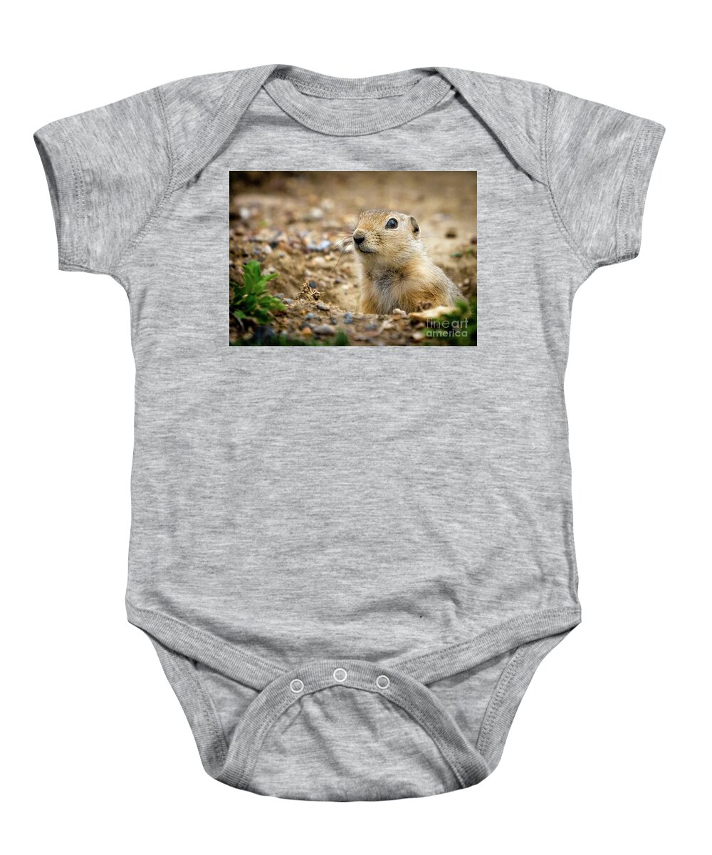 Gopher Baby Onesie featuring the photograph Gopher by Darcy Dietrich