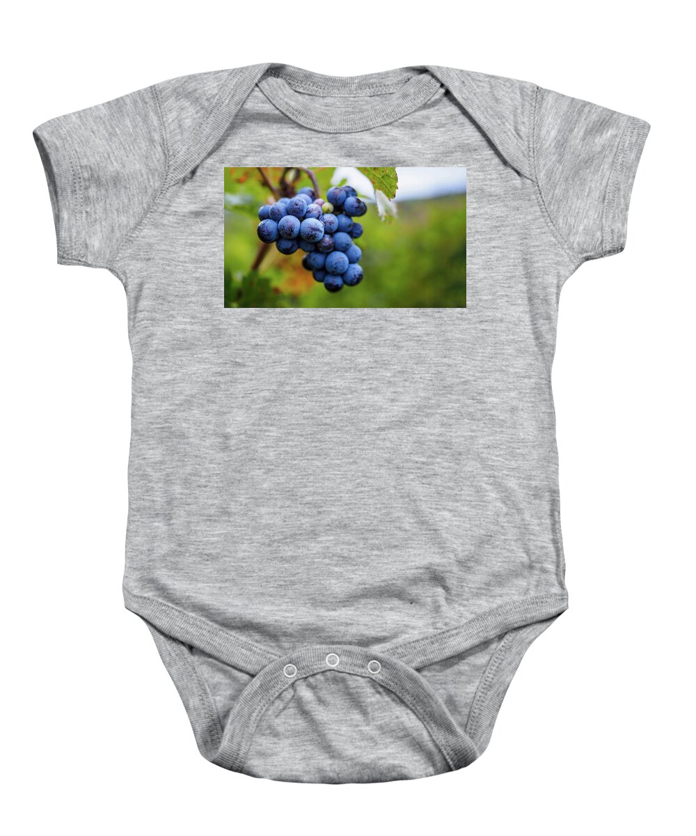 Agriculture Baby Onesie featuring the photograph Grapes on the vine by Robert Miller
