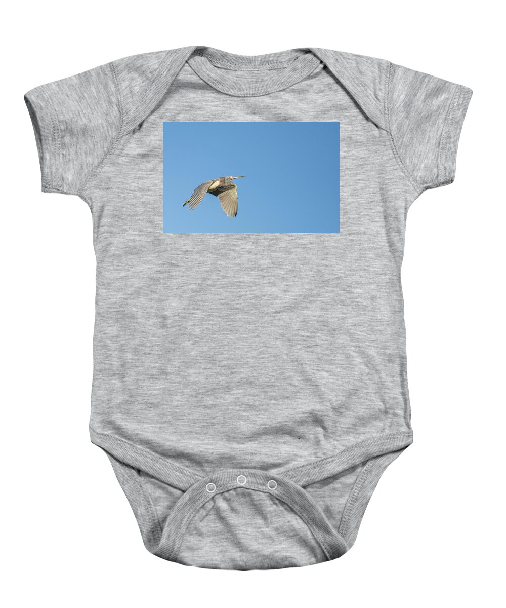  Baby Onesie featuring the photograph Great blue heron by Puttaswamy Ravishankar