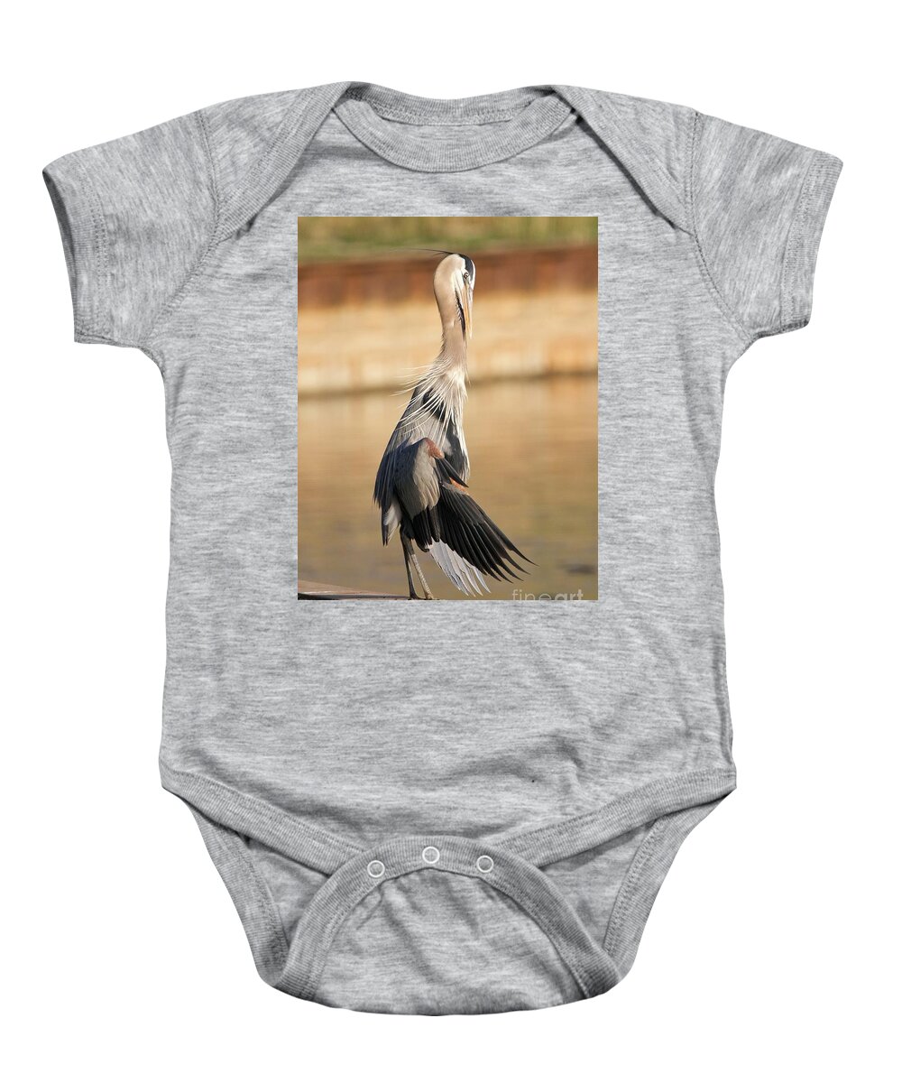 Great Blue Heron Baby Onesie featuring the photograph Great Blue Heron Relaxed Wings by Yvonne M Smith