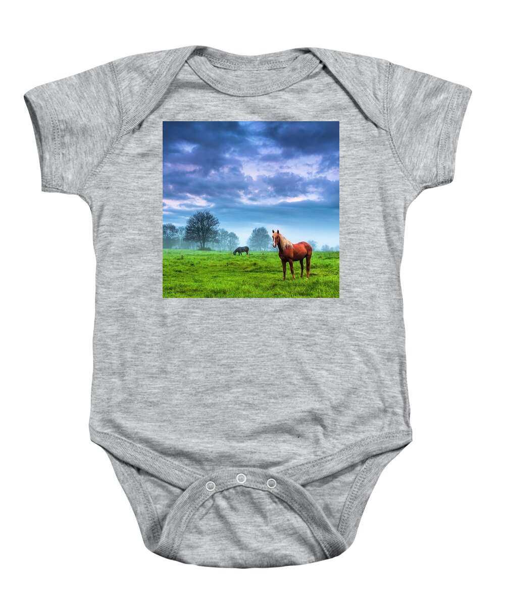 Fog Baby Onesie featuring the photograph Green Morn by Evgeni Dinev