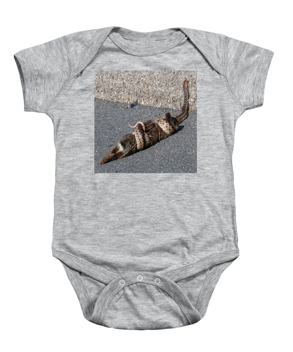 Cottontail Rabbit Baby Onesie featuring the photograph Grips of Death by Perry Hoffman