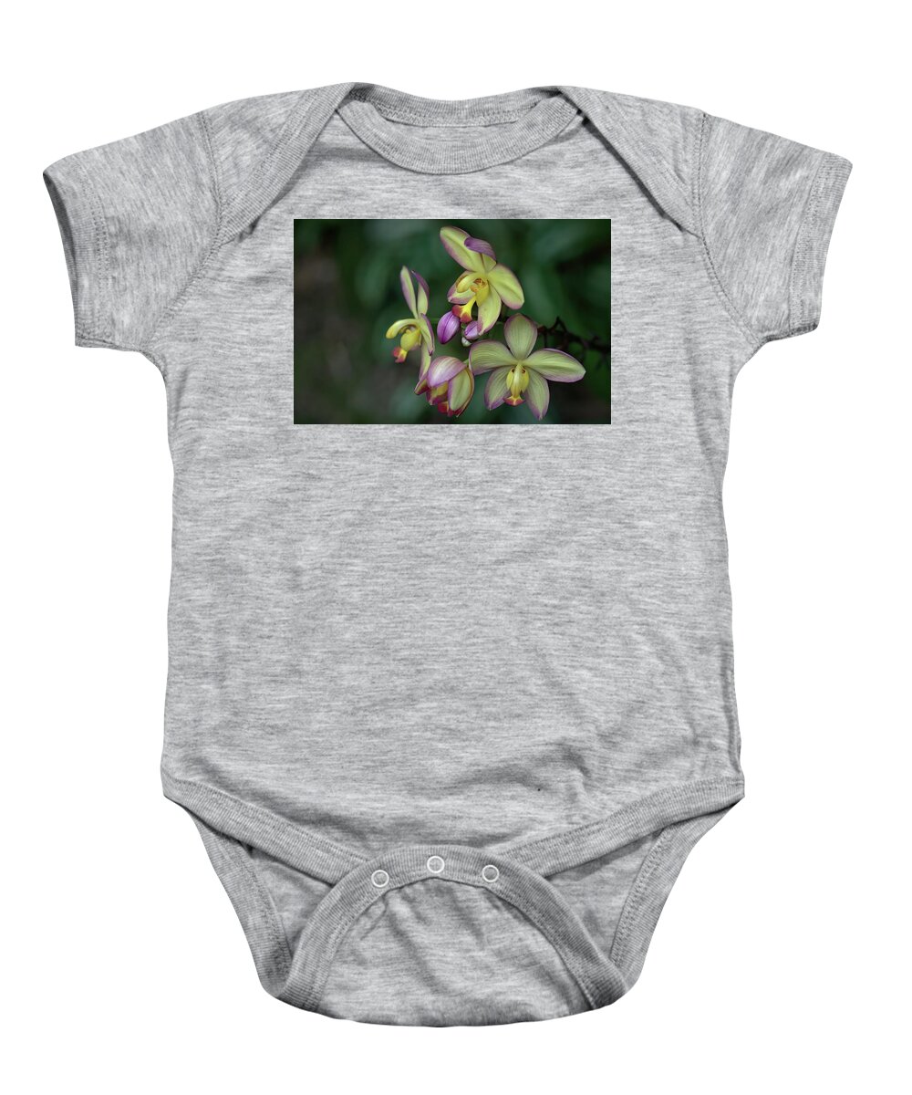 Ground Orchid Baby Onesie featuring the photograph Ground Orchid Mellow Yellow by Heidi Fickinger