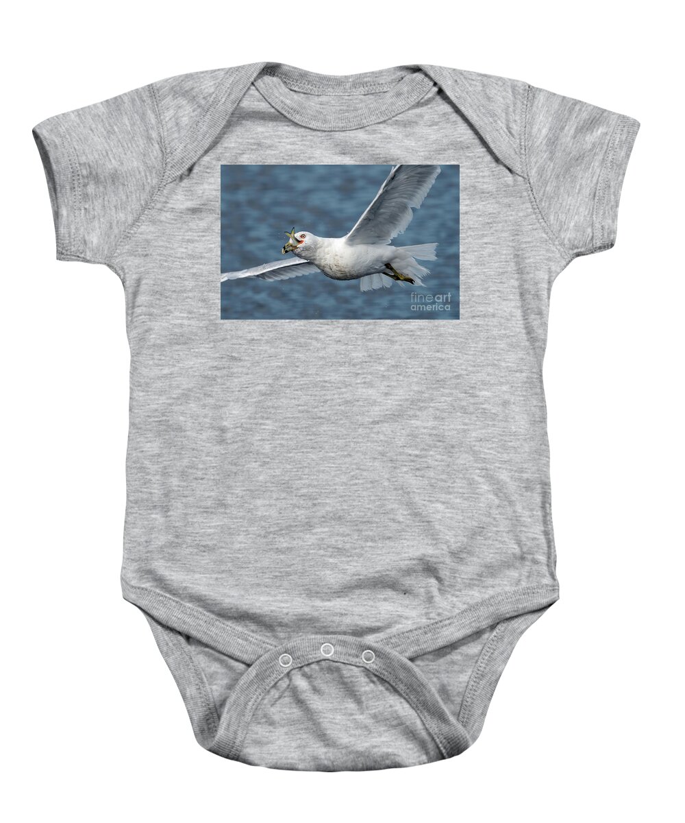 Seagull Baby Onesie featuring the photograph Gull with lunch on the go by Sam Rino
