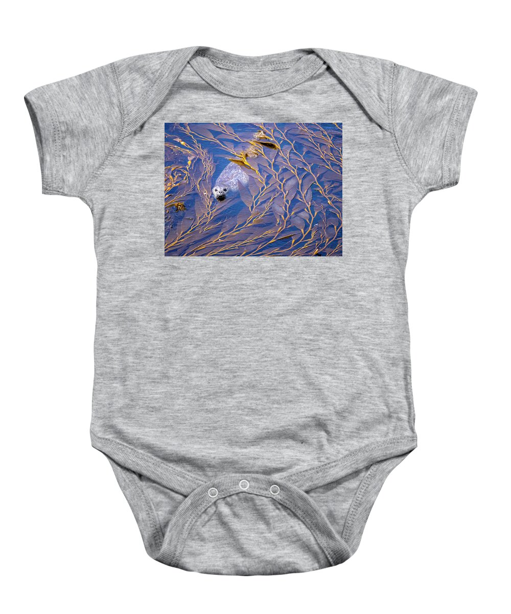  Baby Onesie featuring the photograph Harbor Seal in Kelp #1 by Carla Brennan