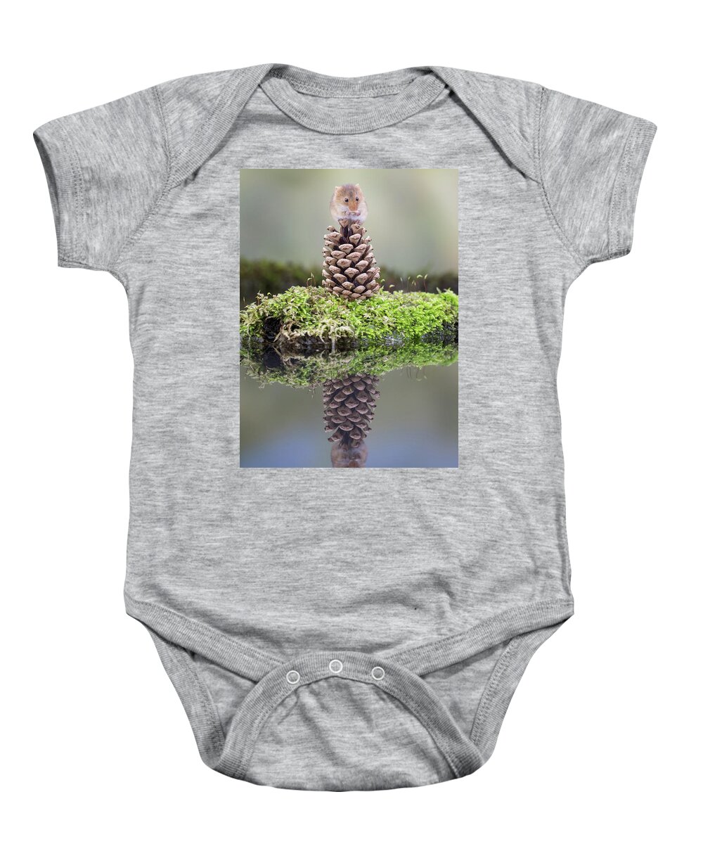 Harvestmouse Baby Onesie featuring the photograph Harvest mouse on a pine cone by Erika Valkovicova