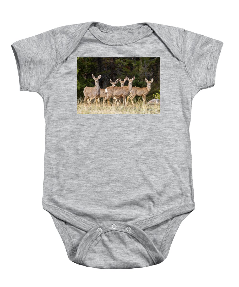 Deer Baby Onesie featuring the photograph Herd of Curious Deer by Steven Krull