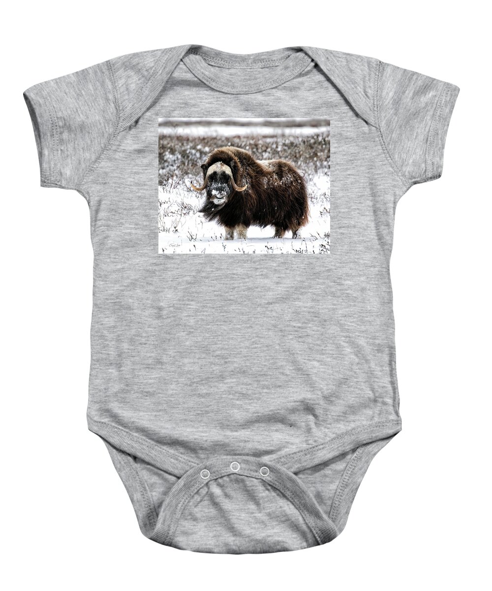 Usa Baby Onesie featuring the photograph Here's Looking at You by Cheryl Strahl