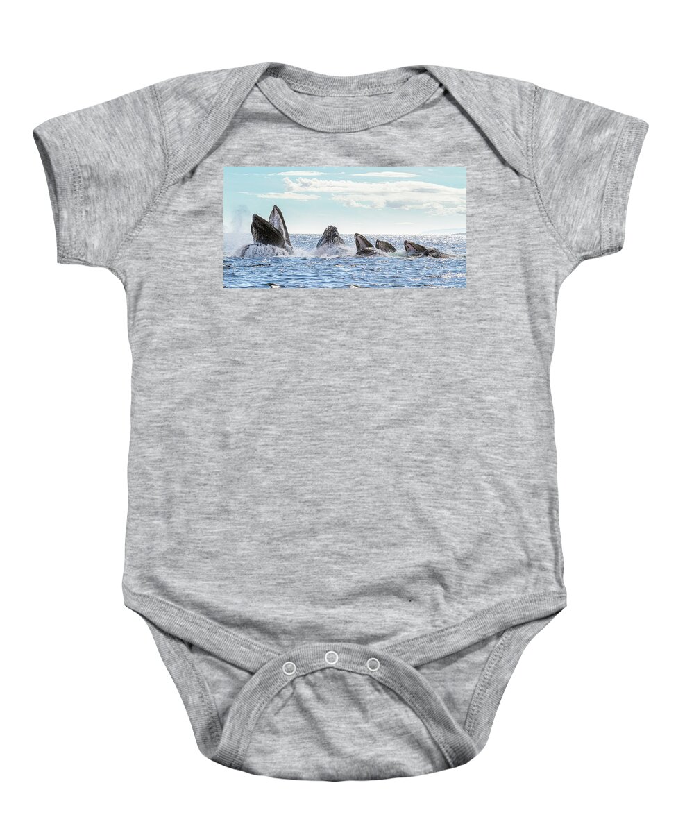 Whale Baby Onesie featuring the photograph Humpbacks in a Row by Michael Rauwolf