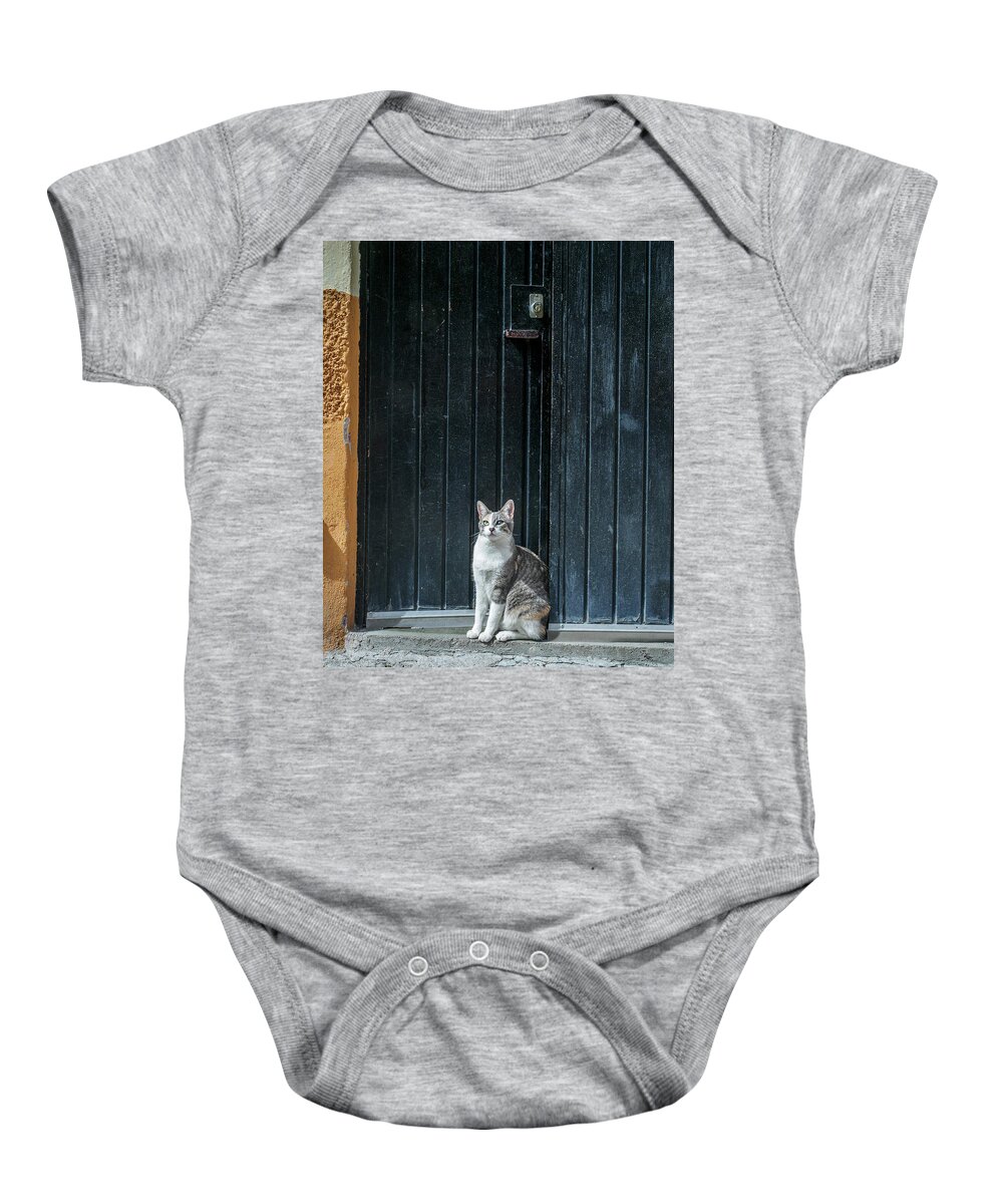Animal Baby Onesie featuring the photograph In or Out - A Feline Dilemma by Mary Lee Dereske