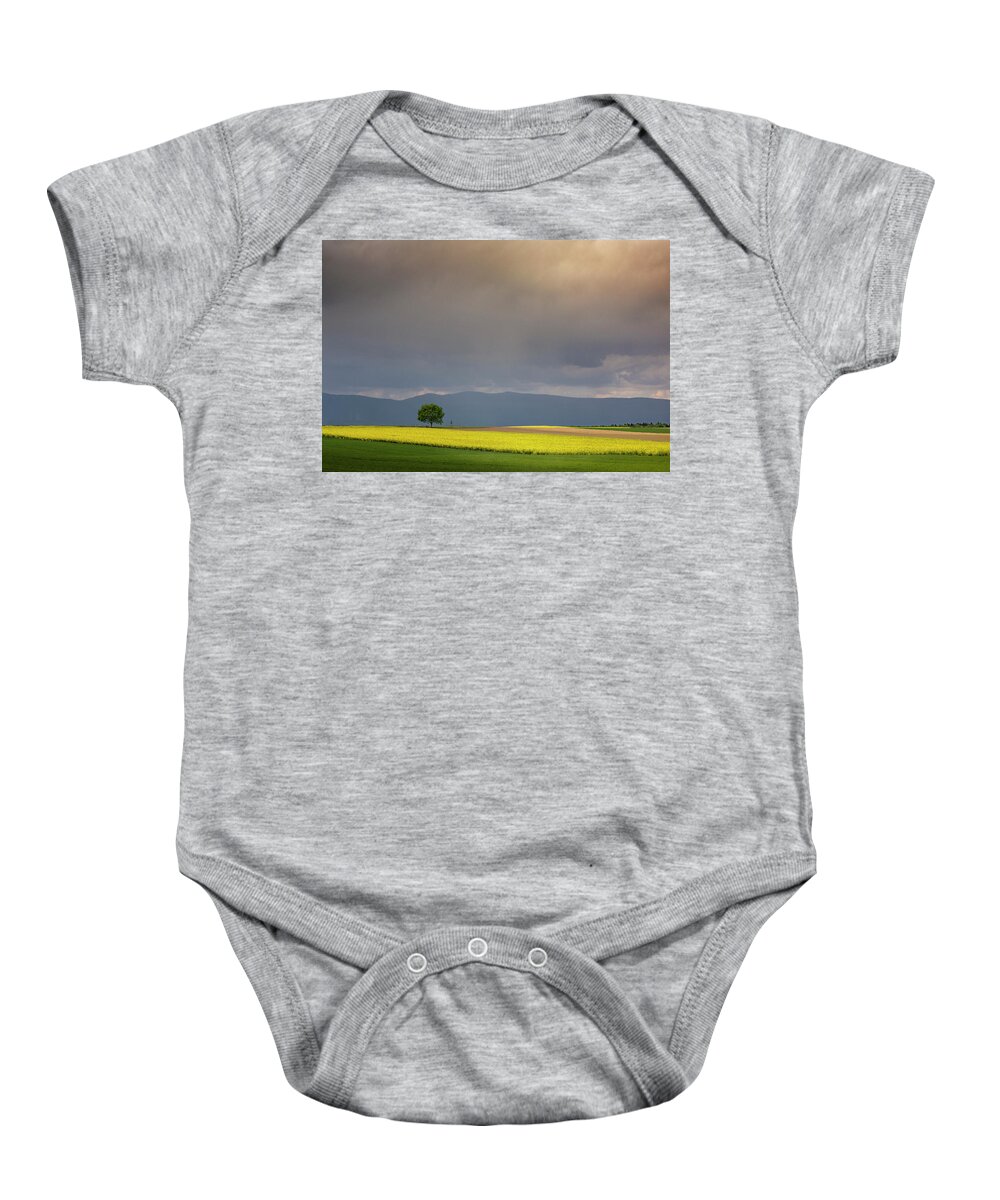 Rapeseed Baby Onesie featuring the photograph In the light of spring by Dominique Dubied