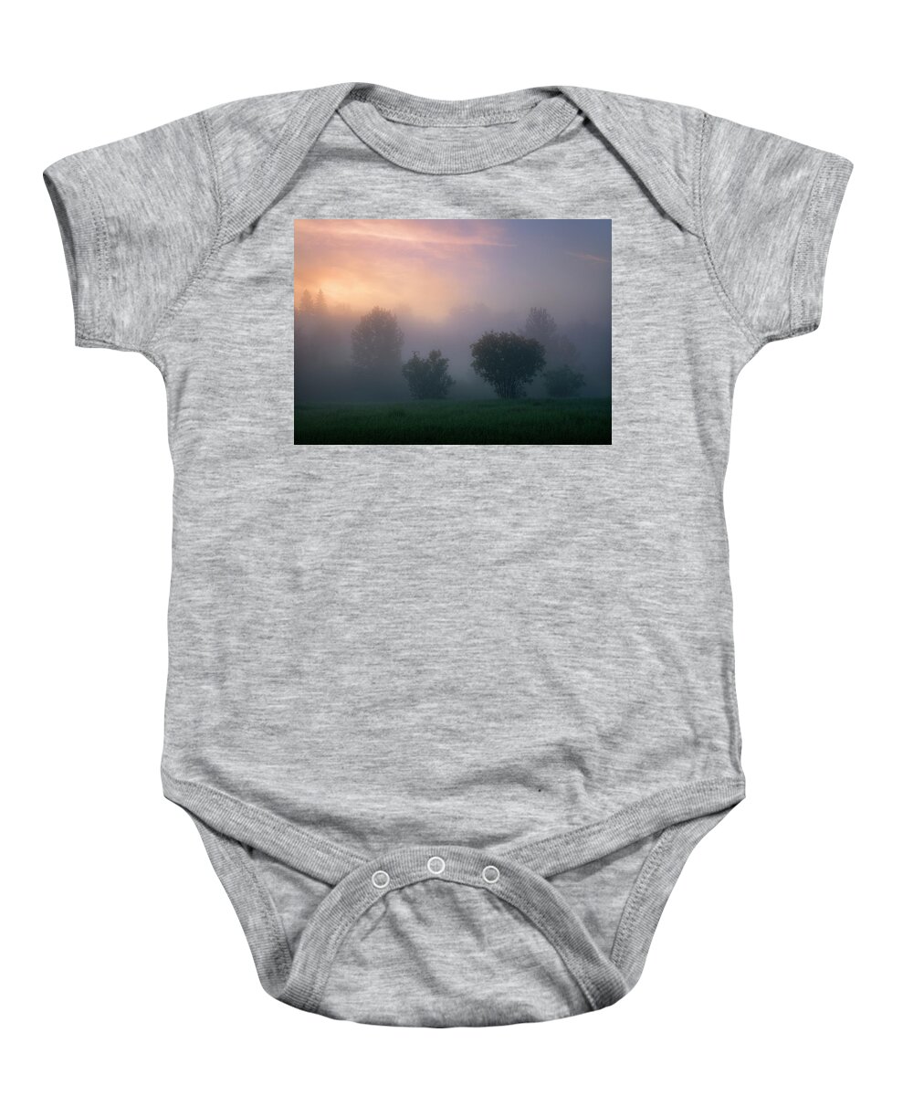 Landscape Baby Onesie featuring the photograph In the Trees by Dan Jurak