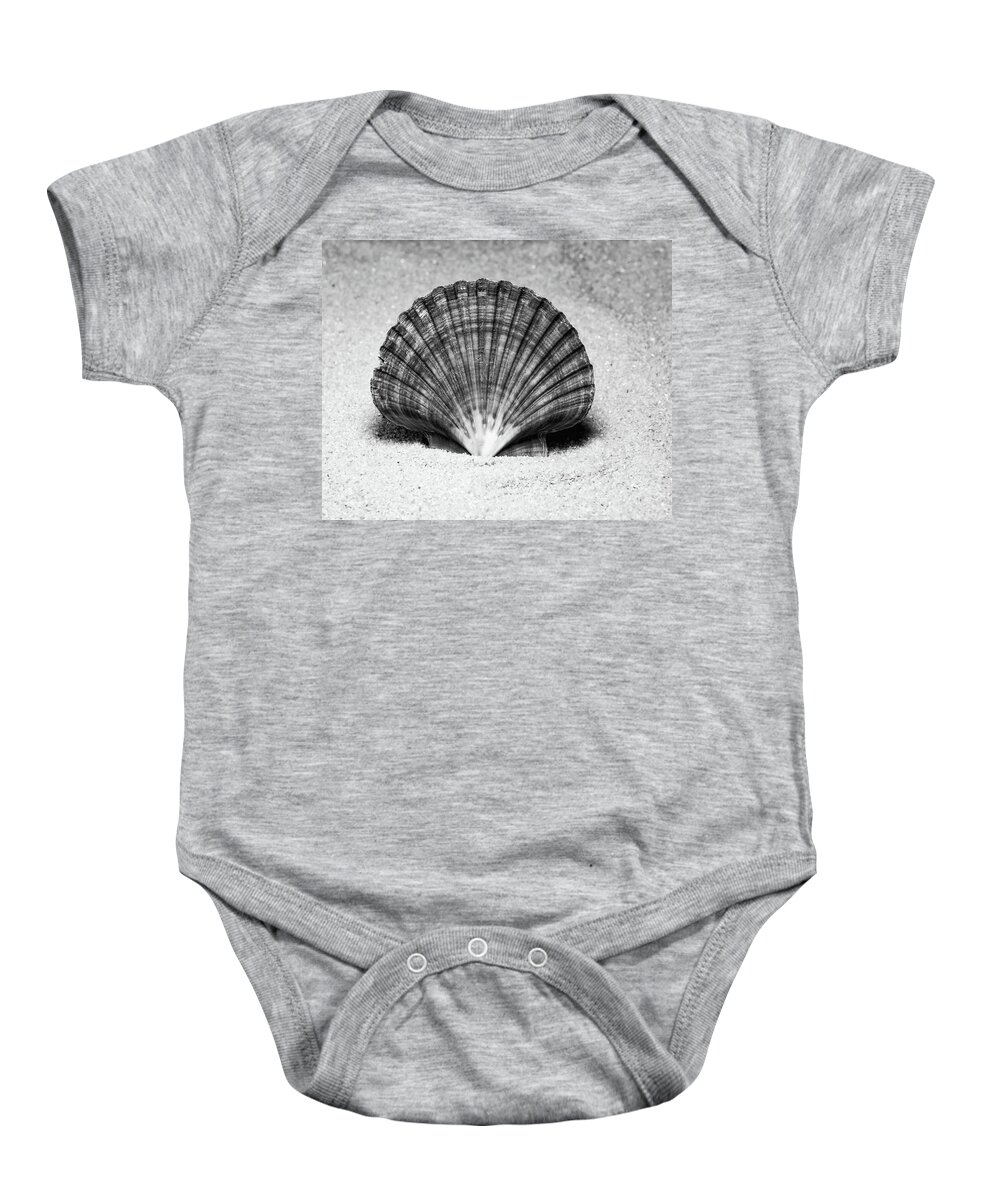 Calico Pectin Seashells Baby Onesie featuring the photograph Irish Flat Scallop by Anthony Sacco