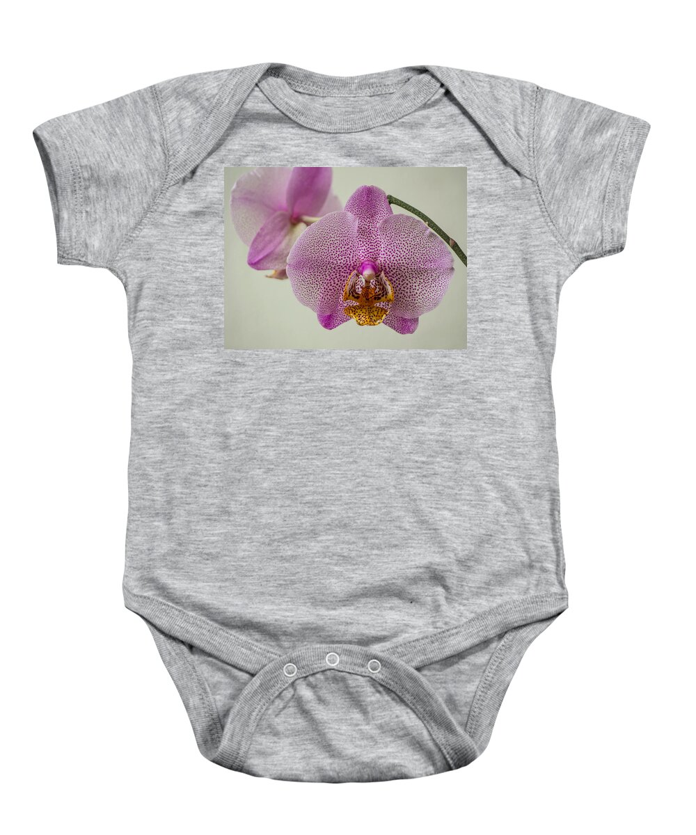 Orchid Baby Onesie featuring the photograph Leopard Prince Phalaenopsis Orchid by Zina Stromberg
