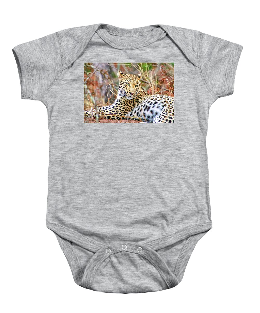 Africa Baby Onesie featuring the photograph Leopard 1 by Tom Watkins PVminer pixs