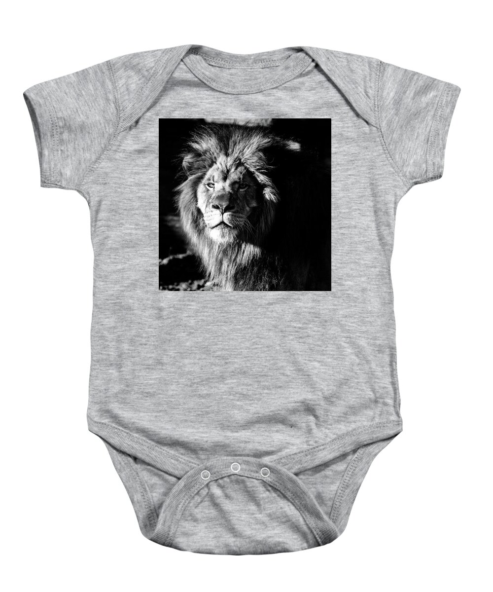 Lion Baby Onesie featuring the photograph Lion portrait BW by Flees Photos
