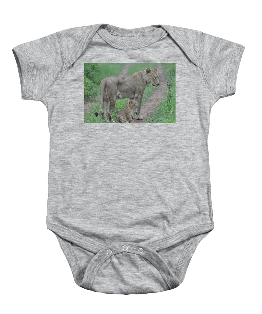 Lion Baby Onesie featuring the photograph Lioness and Cub on the Road by Rebecca Herranen