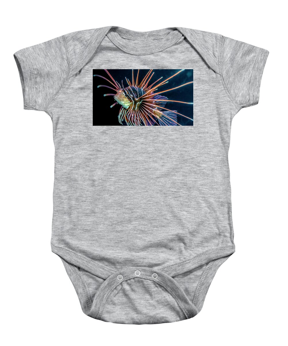 Lionfish Baby Onesie featuring the photograph Clearfin Lionfish by WAZgriffin Digital