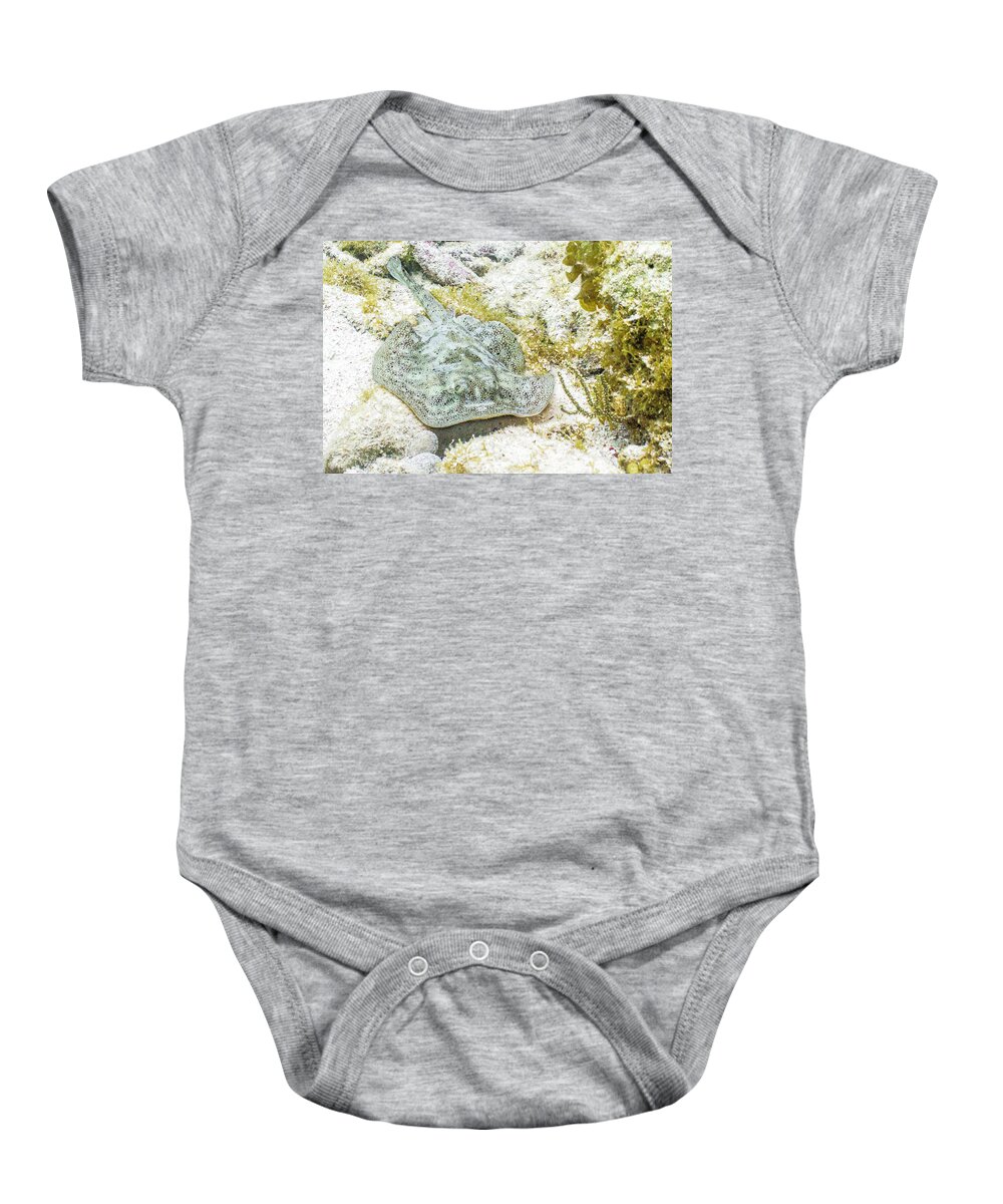 Animals Baby Onesie featuring the photograph Little Spot by Lynne Browne